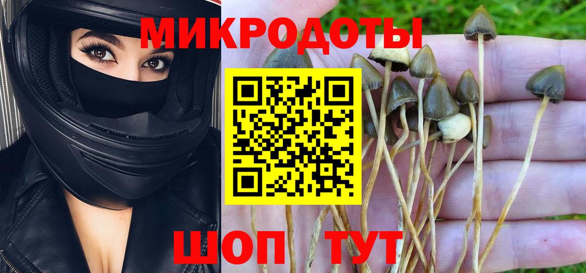 Галлюциногенные грибы Cubensis Алексеевка
